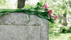 Laatste rustplaats huisdieren Team 3560