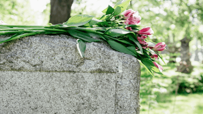 Laatste rustplaats huisdieren Team 3560